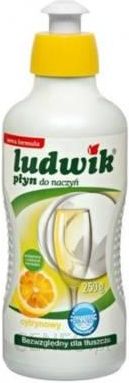 i-grupa-inco-ludwik-plyn-do-mycia-naczyn-cytryna-250-ml