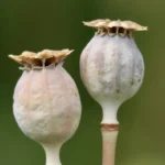 Wynajem ekranów LED i projekcyjnych – klucz do niezapomnianych wydarzeń